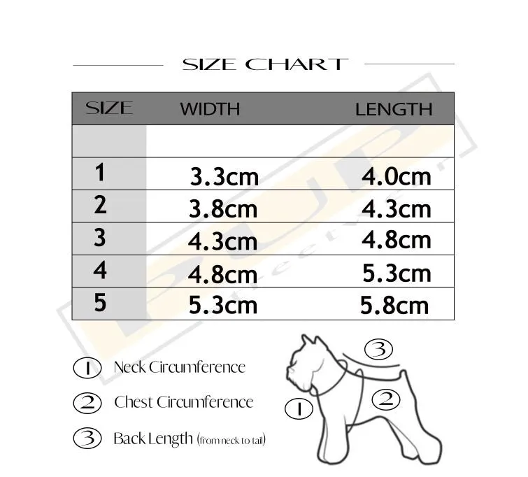 Pucci Shoes Booties (avail in other colours)