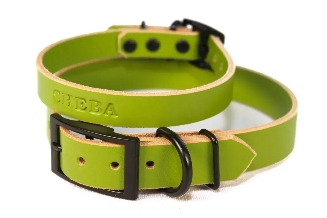 Signature Leather Dog Collar - Black Tone Hardware