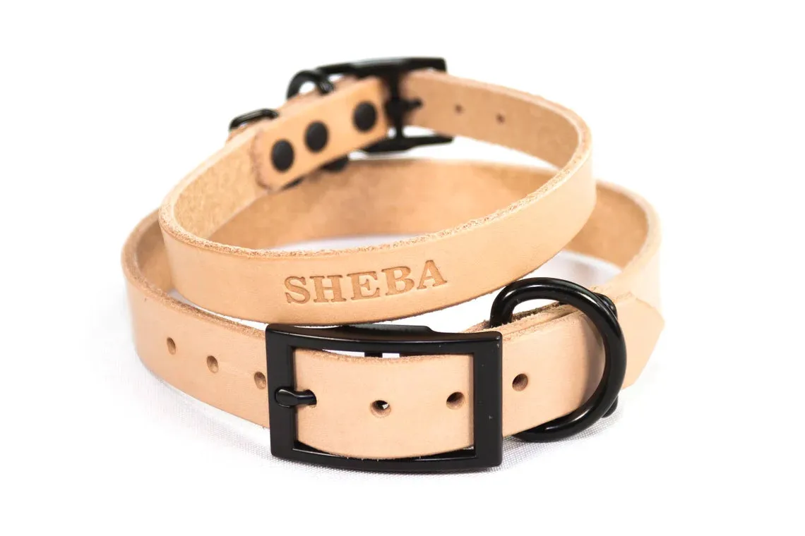 Signature Leather Dog Collar - Black Tone Hardware